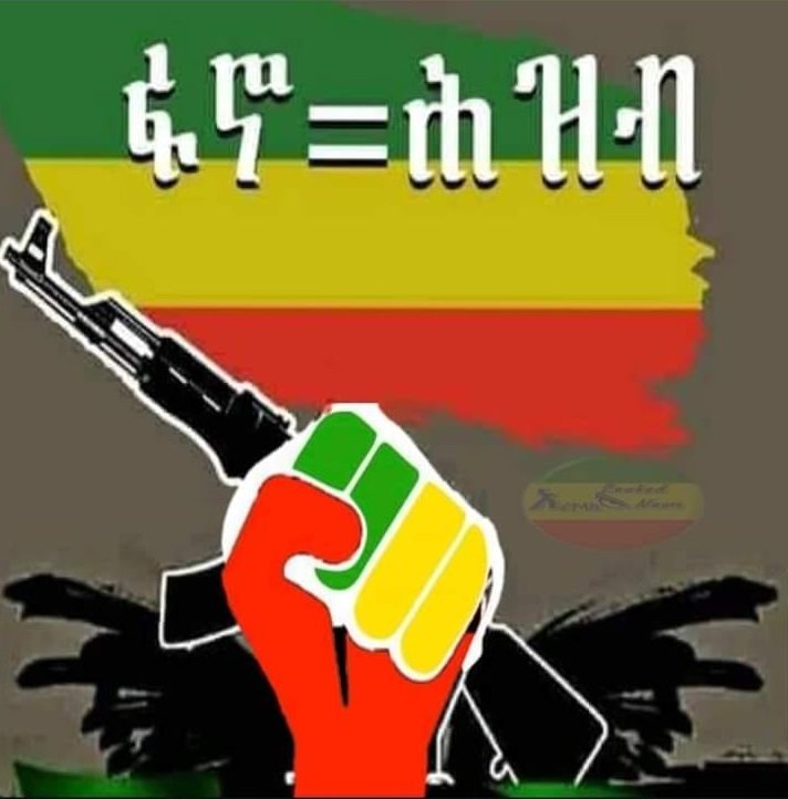 Amhara Political Agenda _ Ethiopian Politics 