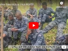 captured government forces _ Shoa _ Ethiopia