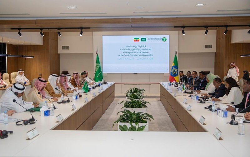 Ethiopia _ Saudi summit